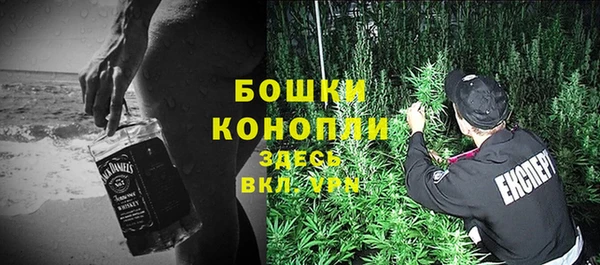 прущие грибы Абдулино