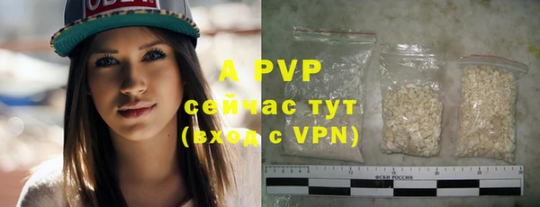 прущие грибы Абдулино