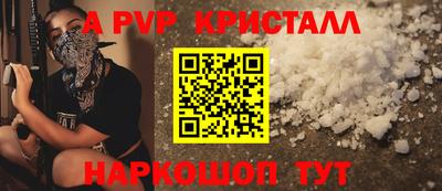 спиды Моздок