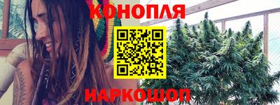спиды Моздок