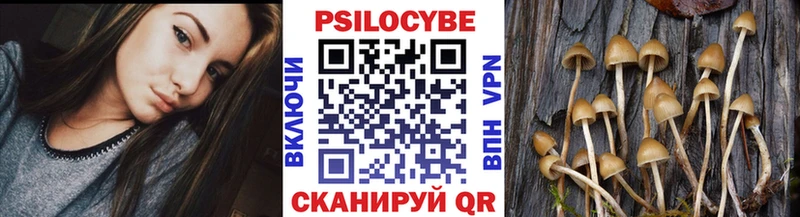 где можно купить Аксай Галлюциногенные грибы Psilocybe