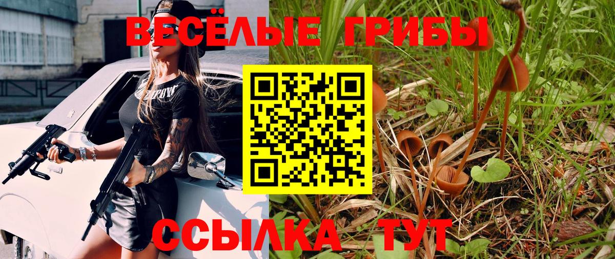 Галлюциногенные грибы мицелий  купить закладку  Аксай  Псилоцибиновые грибы Psilocybe  Вход с VPN 